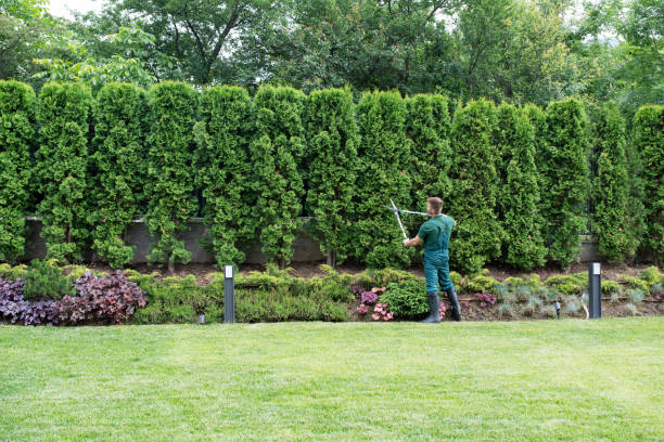 Best Pest Control for Lawns  in Big Bend, WI