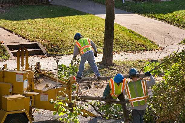 Best Lawn Watering Services  in Big Bend, WI